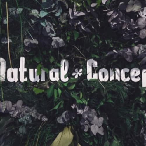 Natural Concept - Coiffure Strasbourg - Natural Concept - Photo Galerie - OneBooking