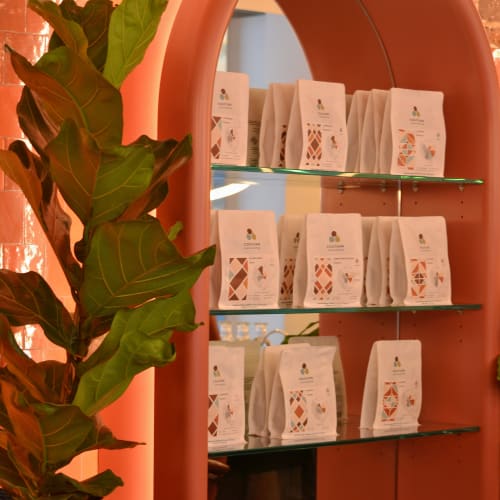 Mousse - Coiffure Paris - Mousse - Photo Galerie - OneBooking