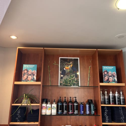 Angeliss'coiffure - Coiffure Nantes - Angeliss'coiffure - Photo Galerie - OneBooking
