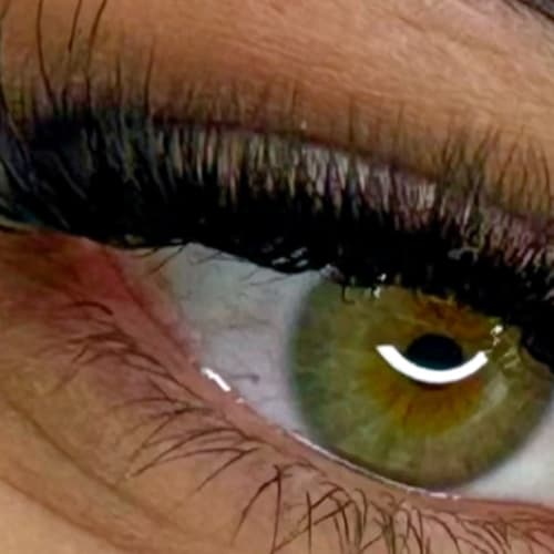 Meg Studio - Sourcils & cils Dijon - Meg Studio - Photo Galerie - OneBooking