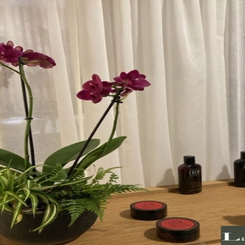 La Loge - Coiffure Nantes - La Loge - Photo Galerie - OneBooking