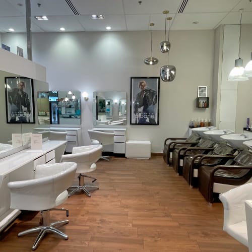 Camille Albane - Clermont-Ferrand Jaude - Coiffure Clermont-Ferrand - Camille Albane - Clermont-Ferrand Jaude - Photo Galerie - OneBooking