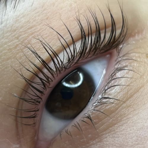 MAISON DIVINE - Sourcils & cils Le Mans - MAISON DIVINE - Photo Galerie - OneBooking