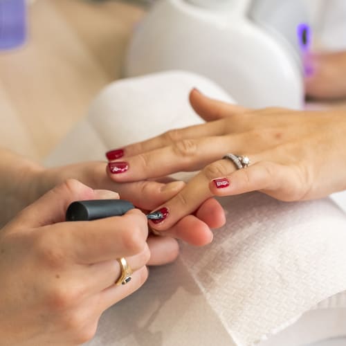 Elixir - Institut de beauté Cannes - Elixir - Photo Galerie - OneBooking