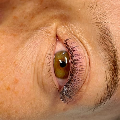Cilopatra - Sourcils & cils Antony - Cilopatra - Photo Galerie - OneBooking