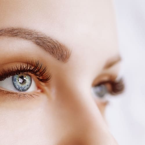 Atelier K - Scotto di Cesare - Sourcils & cils Vannes - Atelier K - Scotto di Cesare - Photo Galerie - OneBooking