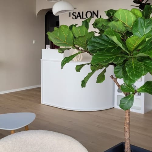 Salon E.L.S - Sourcils & cils Lorient - Salon E.L.S - Photo Galerie - OneBooking