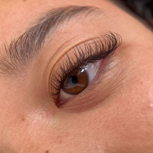 The Lash Witch - Institut de beauté Lille - The Lash Witch - Photo Galerie - OneBooking