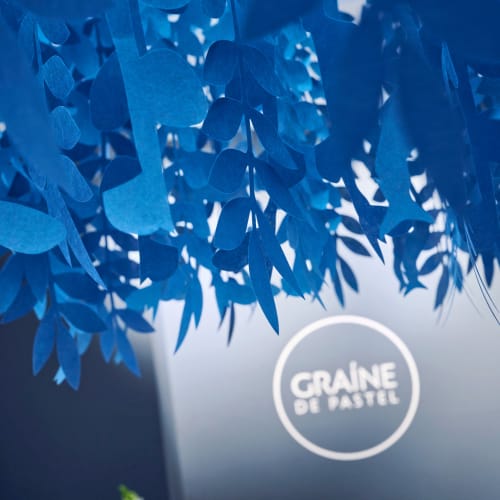 Laboratoire Graine de Pastel - Institut de beauté Toulouse - Laboratoire Graine de Pastel - Photo Galerie - OneBooking