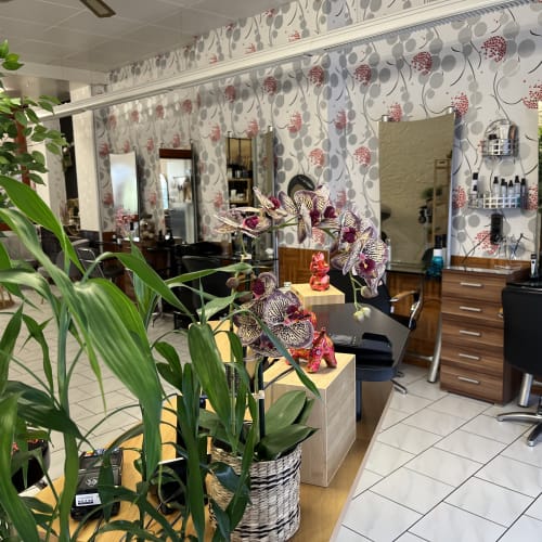 SALON FLOREAL - Coiffure Agen - SALON FLOREAL - Photo Galerie - OneBooking
