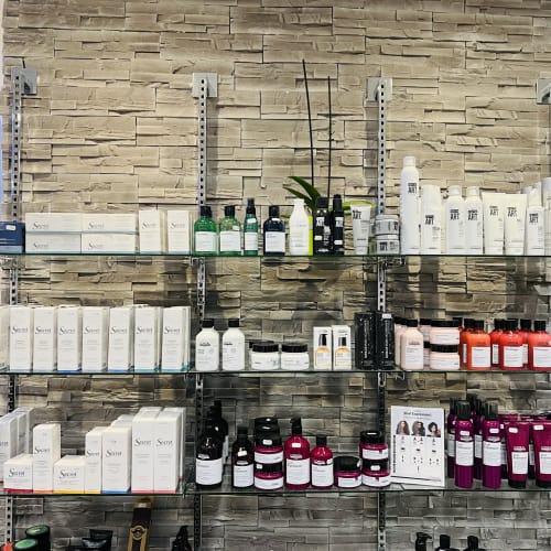 Jouvence Coiffure - Coiffure Dijon - Jouvence Coiffure - Photo Galerie - OneBooking