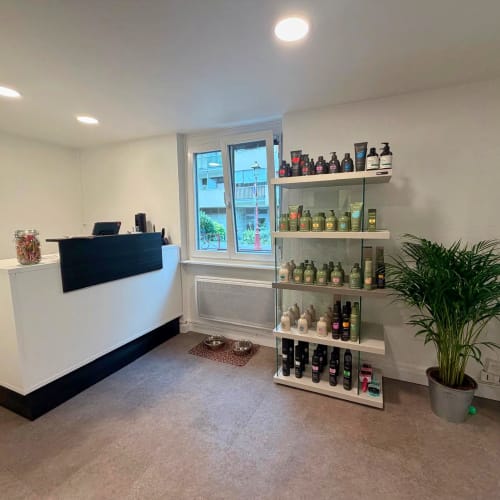 L’atelier d’Anaëlle - Coiffure Schiltigheim - L’atelier d’Anaëlle - Photo Galerie - OneBooking