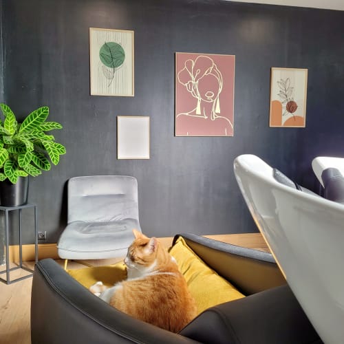 Chez Max - Coiffure Angers - Chez Max - Photo Galerie - OneBooking