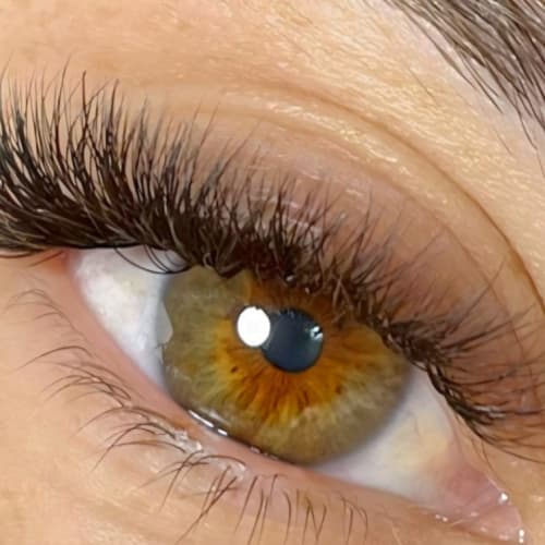 Institut Coucou - Sourcils & cils Saint-Malo - Institut Coucou - Photo Galerie - OneBooking