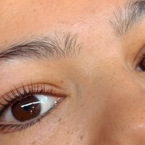 The Lash Studio - Institut de beauté Toulouse - The Lash Studio - Photo Galerie - OneBooking