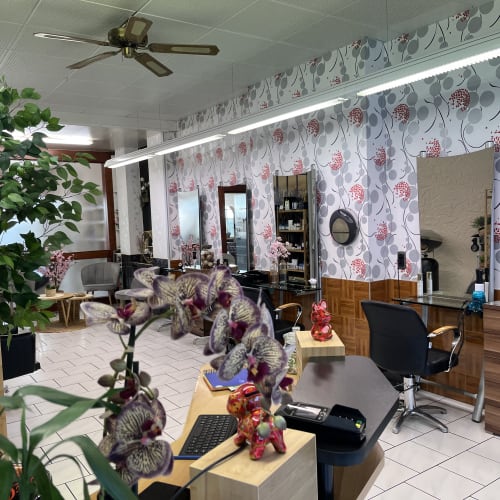 SALON FLOREAL - Coiffure Agen - SALON FLOREAL - Photo Galerie - OneBooking