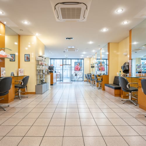 Camille Albane - Arras - Coiffure Arras - Camille Albane - Arras - Photo Galerie - OneBooking