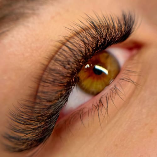 Ty Lashes - Institut de beauté Agen - Ty Lashes - Photo Galerie - OneBooking