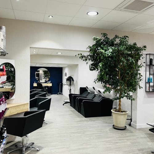 Jouvence Coiffure - Coiffure Dijon - Jouvence Coiffure - Photo Galerie - OneBooking