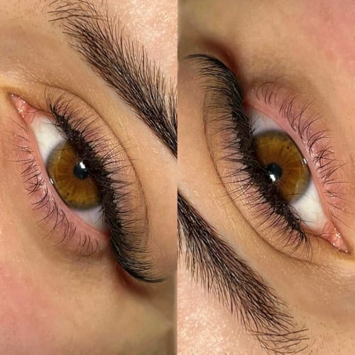 Divinycils.s - Sourcils & cils Montauban - Divinycils.s - Photo Galerie - OneBooking