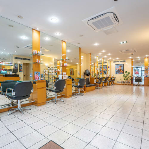 Camille Albane - Arras - Coiffure Arras - Camille Albane - Arras - Photo Galerie - OneBooking