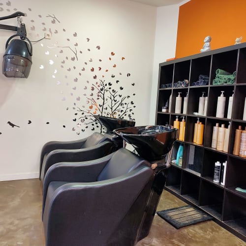 Véronique Coiffure - Maître Artisan - Coiffure Toulon - Véronique Coiffure - Maître Artisan - Photo Galerie - OneBooking