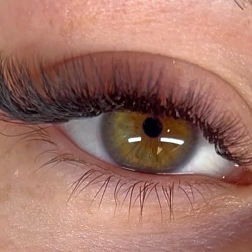 Majestic Hair Beauty - Sourcils & cils Grasse - Majestic Hair Beauty - Photo Galerie - OneBooking