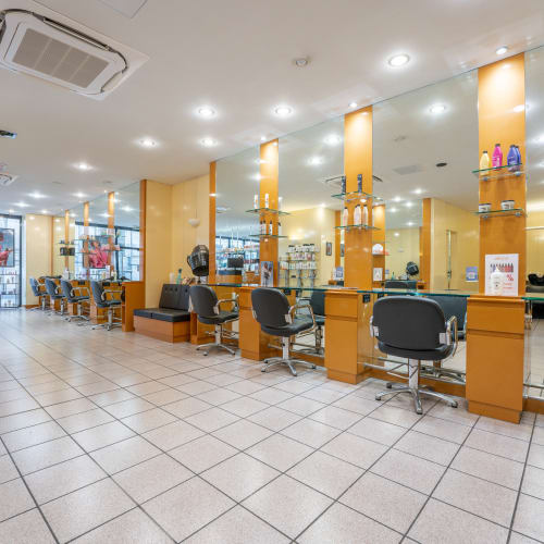 Camille Albane - Arras - Coiffure Arras - Camille Albane - Arras - Photo Galerie - OneBooking