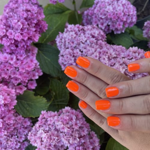 Beauty Sarah - Institut de beauté Neuilly-sur-Marne - Beauty Sarah - Photo Galerie - OneBooking
