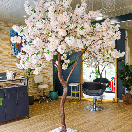 Maison Muses - Coiffure - Coiffure Toulouse - Maison Muses - Coiffure - Photo Galerie - OneBooking