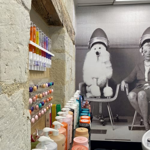 Empreintes Coiffure - Coiffure Angers - Empreintes Coiffure - Photo Galerie - OneBooking