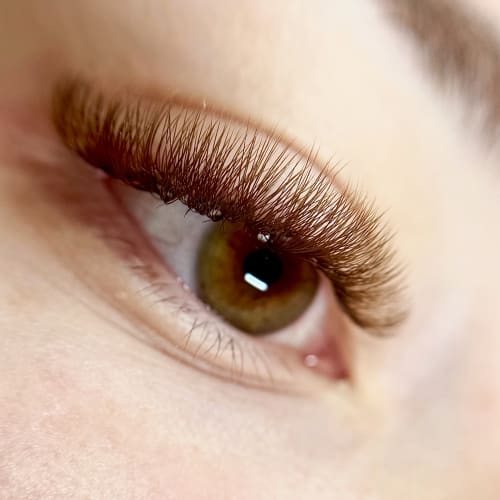 The Daisy Bloom - Institut de beauté Clermont-Ferrand - The Daisy Bloom - Photo Galerie - OneBooking