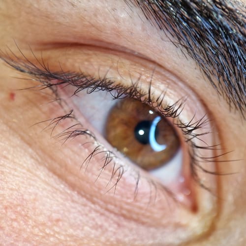 Maï.signature - Sourcils & cils Vannes - Maï.signature - Photo Galerie - OneBooking