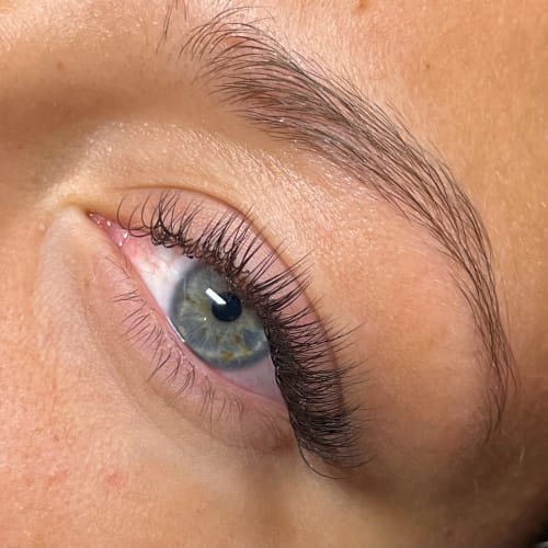 Cilopatra - Sourcils & cils Antony - Cilopatra - Photo Galerie - OneBooking