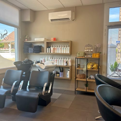 Fa'syl creation - salon Basil - Coiffure Dijon - Fa'syl creation - salon Basil - Photo Galerie - OneBooking
