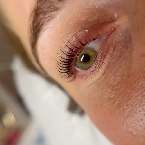 Maison Prunelle - Sourcils & cils Nice - Maison Prunelle - Photo Galerie - OneBooking