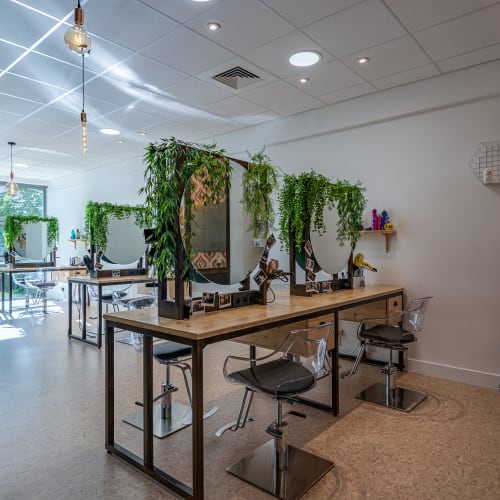 Thibaut Coiffure - Coiffure Nîmes - Thibaut Coiffure - Photo Galerie - OneBooking