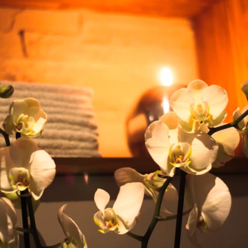 Spa MontKailash - Spa Paris - Spa MontKailash - Photo Galerie - OneBooking