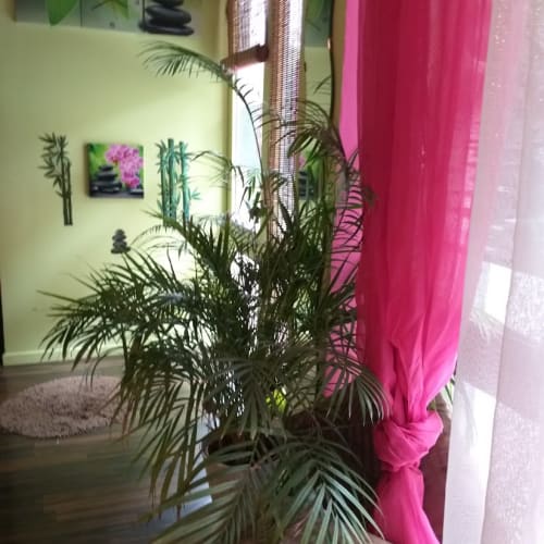 L’Institut Naturel - Onglerie Montpellier - L’Institut Naturel - Photo Galerie - OneBooking