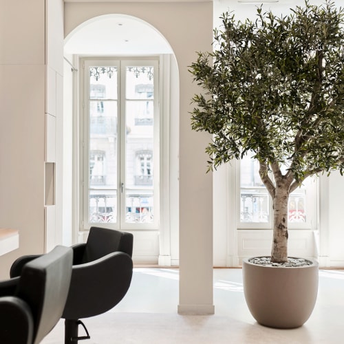 Salon Thomas Tuccinardi - Coiffure Lyon - Salon Thomas Tuccinardi - Photo Galerie - OneBooking