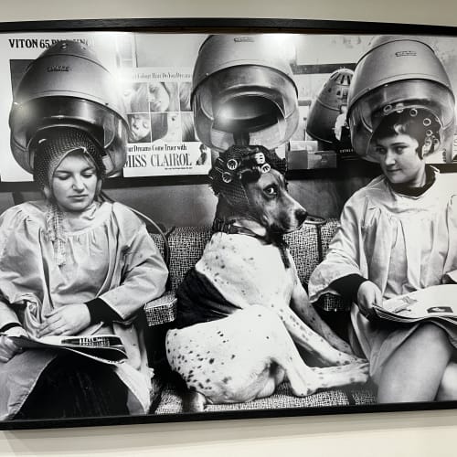 Izatis Coiffure - Coiffure Linas - Izatis Coiffure - Photo Galerie - OneBooking