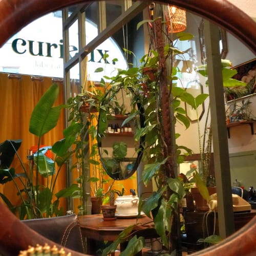 CURIEUX - Coiffure Nantes - CURIEUX - Photo Galerie - OneBooking