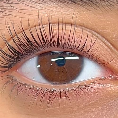 Lashes by CHN - Institut de beauté Montpellier - Lashes by CHN - Photo Galerie - OneBooking