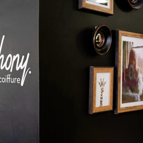 Anthony. Coiffure - Coiffure Angers - Anthony. Coiffure - Photo Galerie - OneBooking