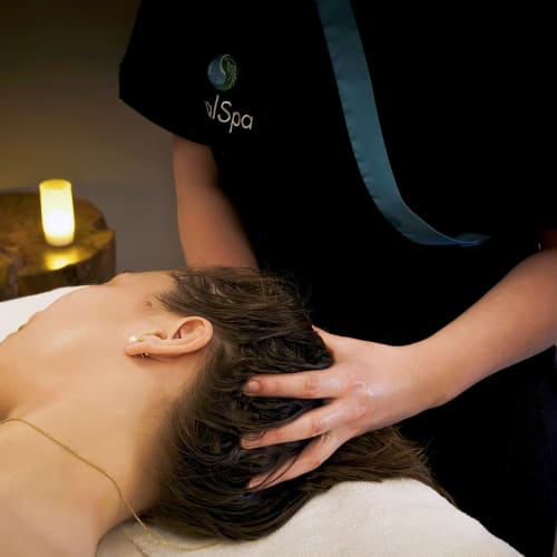 Day Spa - Sourcils & cils La Roche-sur-Yon - Day Spa - Photo Galerie - OneBooking