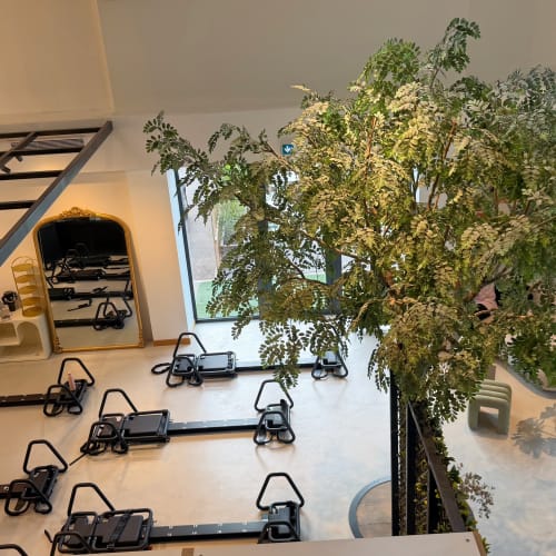The Body Club - Onglerie Porto-Vecchio - The Body Club - Photo Galerie - OneBooking