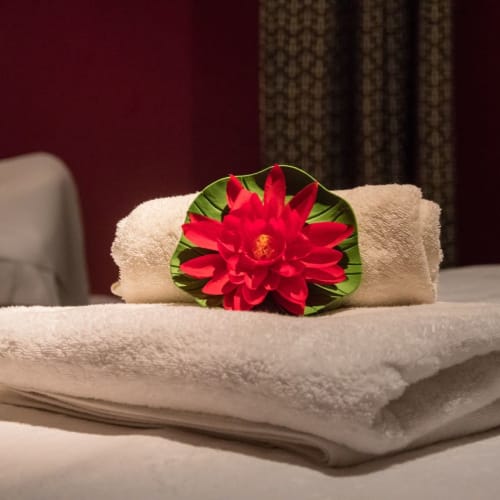 Tui Na SPA - Spa Paris - Tui Na SPA - Photo Galerie - OneBooking
