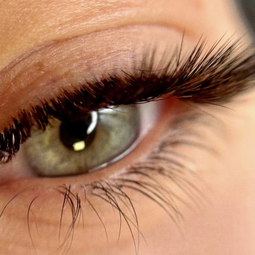 FLOWERY EYES - Experte en beauté du regard - Institut de beauté Bordeaux - FLOWERY EYES - Experte en beauté du regard - Photo Galerie - OneBooking