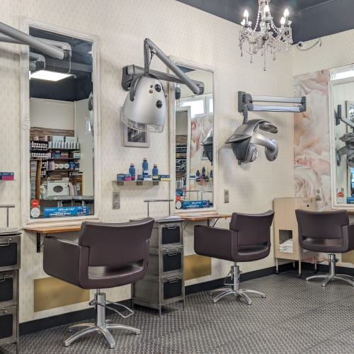 Coiffure Plus - Arras - Barbier Arras - Coiffure Plus - Arras - Photo Galerie - OneBooking