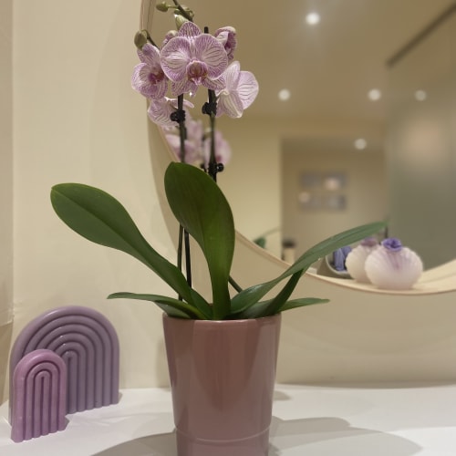 Casey Beauty - Institut de beauté Strasbourg - Casey Beauty - Photo Galerie - OneBooking